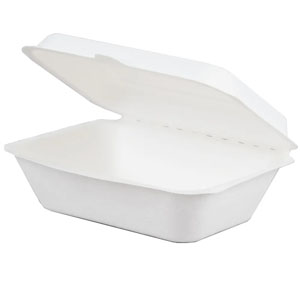 Bagasse Medium Meal Box - 50 Per Pack